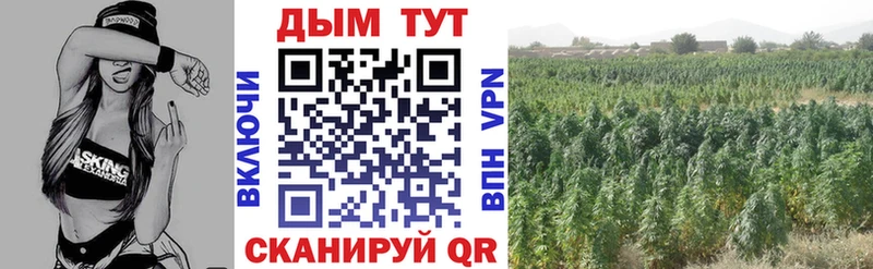 Марихуана семена  Купить закладки  Тамбов 